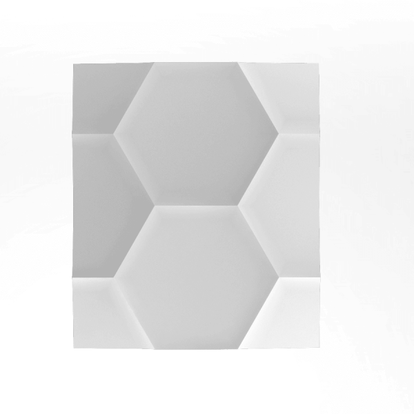 hexagon-1-min-600x600